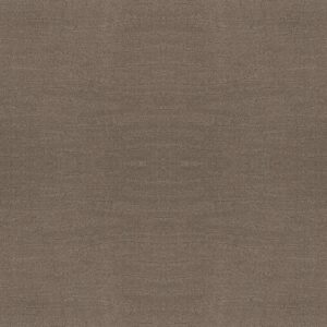 Shaw Floors Carpet Capistrano Smokestack 00756_ZZ266