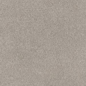 Anderson Tuftex Carpet Via Nova Misty Dawn 00151_ZZ276