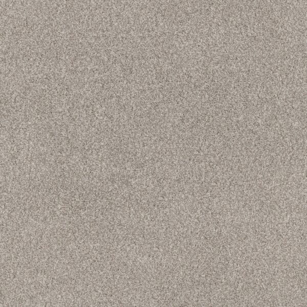 Anderson Tuftex Carpet Via Nova Misty Dawn 00151_ZZ276
