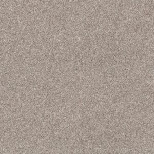Anderson Tuftex Carpet Via Nova Spun Cotton 00172_ZZ276