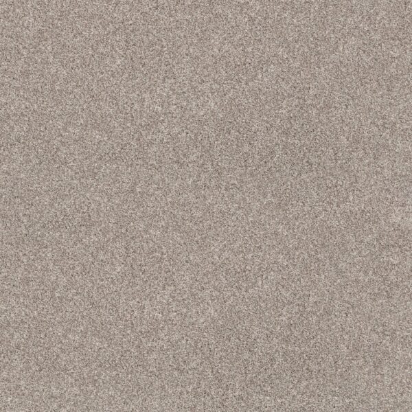 Anderson Tuftex Carpet Via Nova Spun Cotton 00172_ZZ276