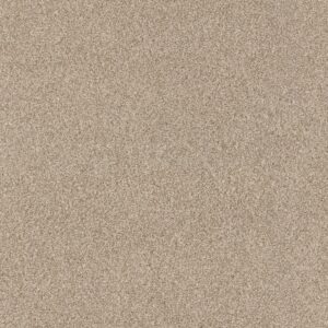 Anderson Tuftex Carpet Via Nova Beach Grass 00223_ZZ276