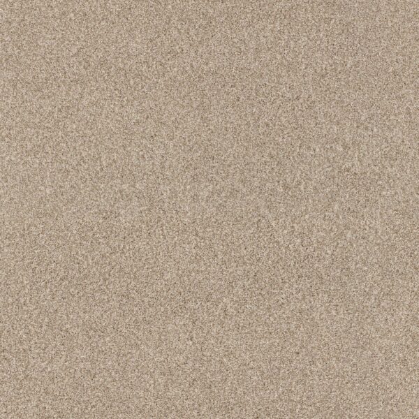 Anderson Tuftex Carpet Via Nova Beach Grass 00223_ZZ276