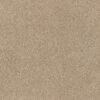 Anderson Tuftex Carpet Via Nova Reed 00224_ZZ276