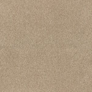 Anderson Tuftex Carpet Via Nova Reed 00224_ZZ276