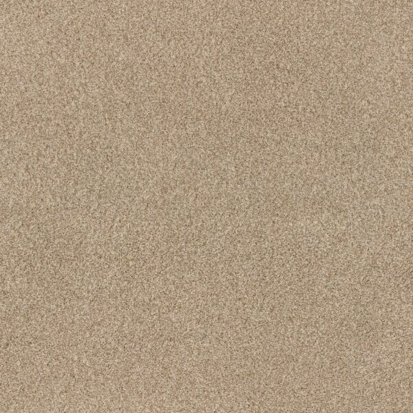 Anderson Tuftex Carpet Via Nova Reed 00224_ZZ276