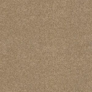 Anderson Tuftex Carpet Via Nova Hazel 00226_ZZ276