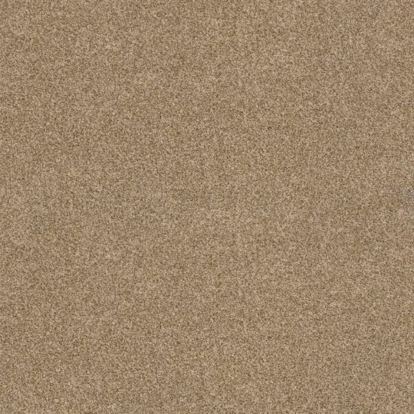 Anderson Tuftex Carpet Via Nova Hazel 00226_ZZ276