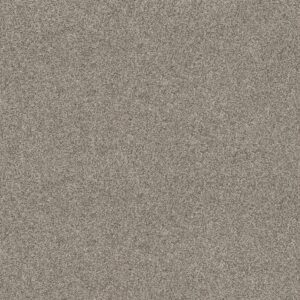 Anderson Tuftex Carpet Via Nova Urban Nature 00534_ZZ276
