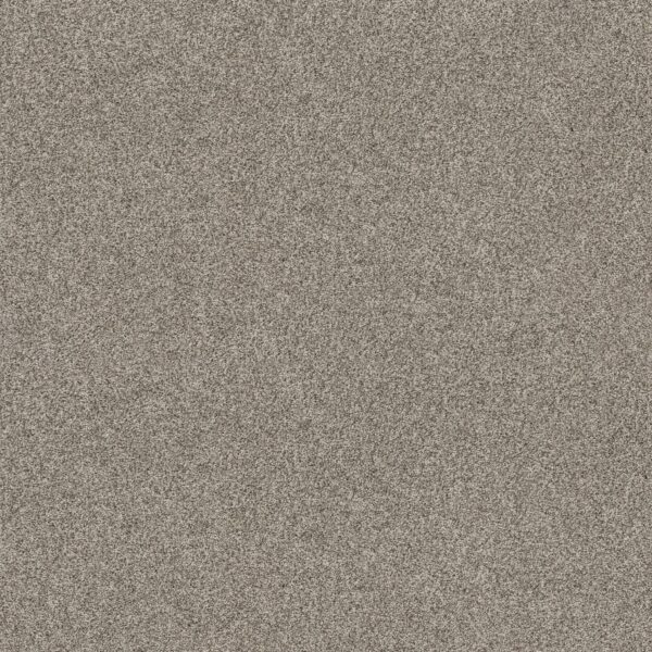 Anderson Tuftex Carpet Via Nova Urban Nature 00534_ZZ276