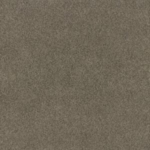 Anderson Tuftex Carpet Via Nova Arrowhead 00536_ZZ276