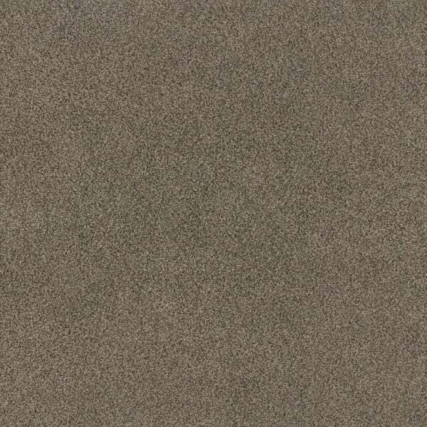Anderson Tuftex Carpet Via Nova Arrowhead 00536_ZZ276