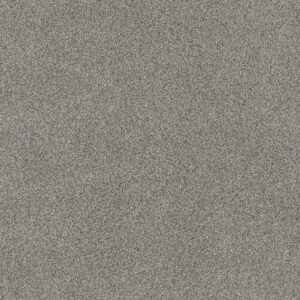 Anderson Tuftex Carpet Via Nova Chelsea Fog 00544_ZZ276