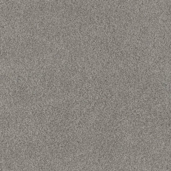 Anderson Tuftex Carpet Via Nova Chelsea Fog 00544_ZZ276
