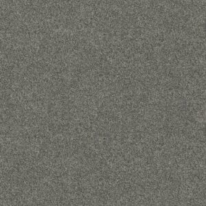 Anderson Tuftex Carpet Via Nova Lunar 00545_ZZ276