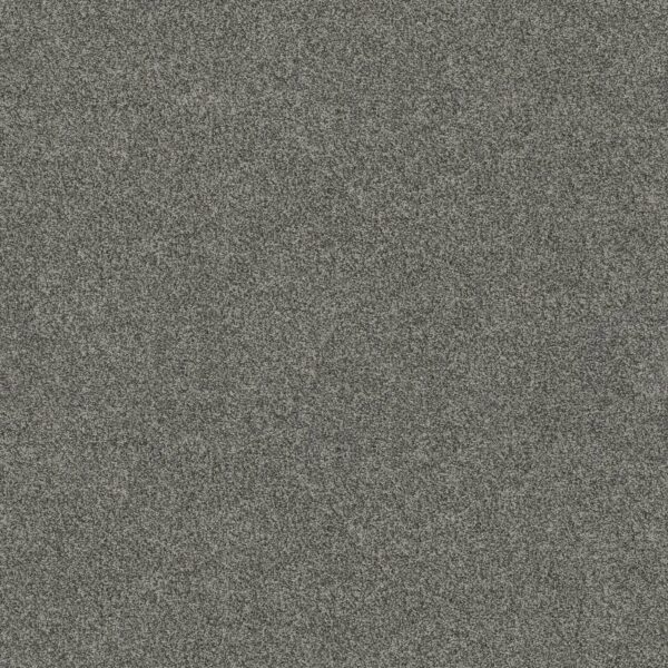 Anderson Tuftex Carpet Via Nova Lunar 00545_ZZ276