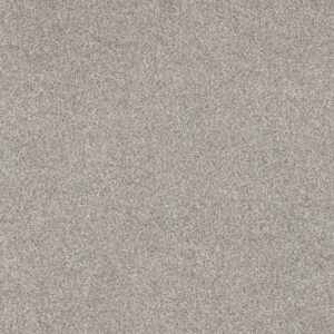 Anderson Tuftex Carpet Via Nova Platinum 00552_ZZ276