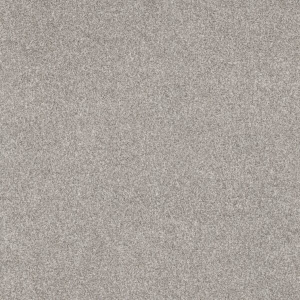 Anderson Tuftex Carpet Via Nova Platinum 00552_ZZ276