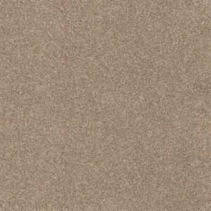 Anderson Tuftex Carpet Via Nova Potter's Clay 00623_ZZ276
