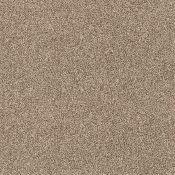 Anderson Tuftex Carpet Via Nova Potter's Clay 00623_ZZ276