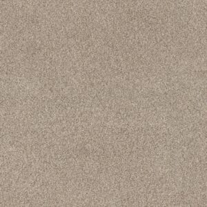 Anderson Tuftex Carpet Via Nova Meditation 00712_ZZ276
