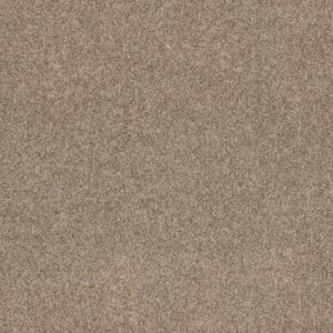 Anderson Tuftex Carpet Via Nova Roasted 00714_ZZ276