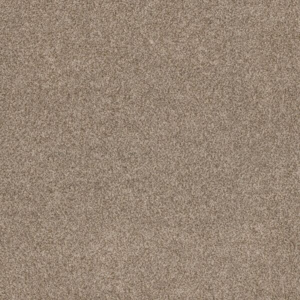 Anderson Tuftex Carpet Via Nova Roasted 00714_ZZ276