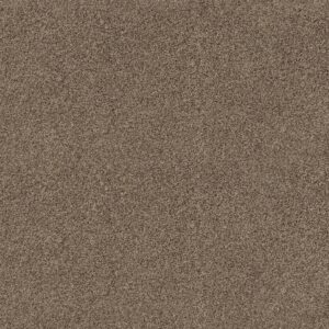 Anderson Tuftex Carpet Via Nova Joshua Tree 00716_ZZ276