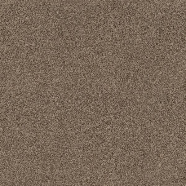 Anderson Tuftex Carpet Via Nova Joshua Tree 00716_ZZ276