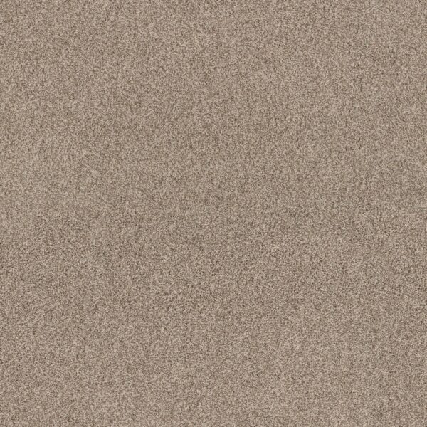 Anderson Tuftex Carpet Via Nova Cascade 00724_ZZ276