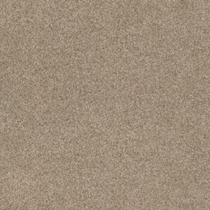 Anderson Tuftex Carpet Via Nova Landscape 00734_ZZ276