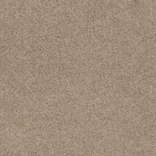 Anderson Tuftex Carpet Via Nova Landscape 00734_ZZ276