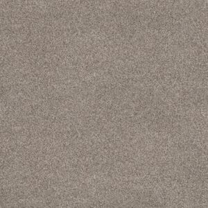 Anderson Tuftex Carpet Via Nova Pashmina 00754_ZZ276