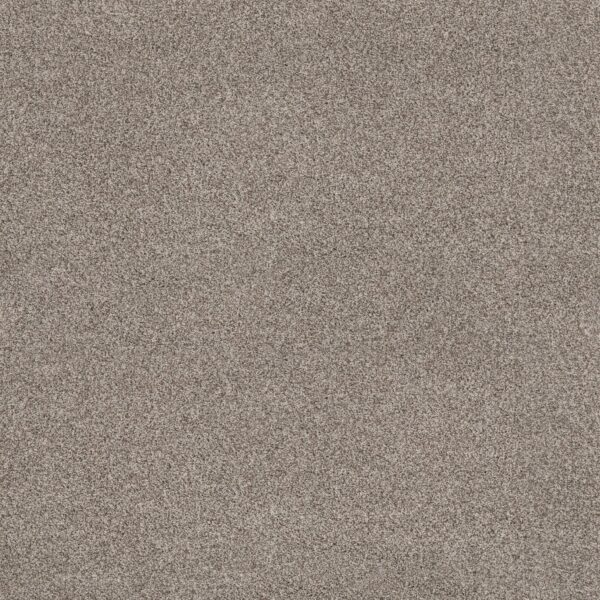 Anderson Tuftex Carpet Via Nova Pashmina 00754_ZZ276