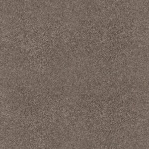 Anderson Tuftex Carpet Via Nova Palm Desert 00756_ZZ276