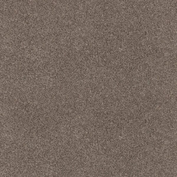 Anderson Tuftex Carpet Via Nova Palm Desert 00756_ZZ276