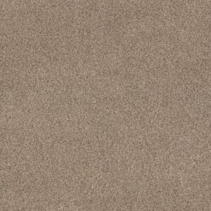 Anderson Tuftex Carpet Via Nova Nutshell 00764_ZZ276