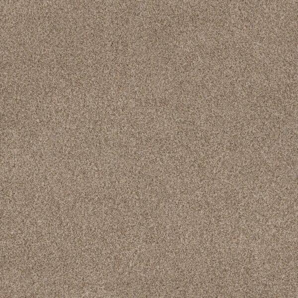 Anderson Tuftex Carpet Via Nova Nutshell 00764_ZZ276