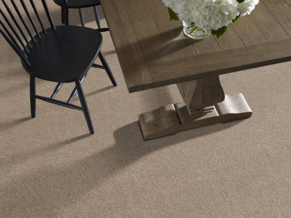 Anderson Tuftex Carpet Via Nova Nutshell 00764_ZZ276 - Image 2
