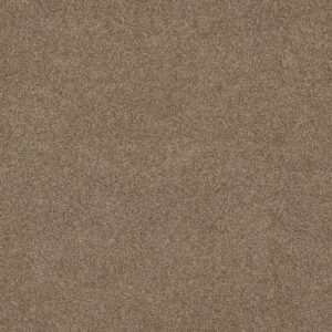 Anderson Tuftex Carpet Via Nova Ranch 00765_ZZ276
