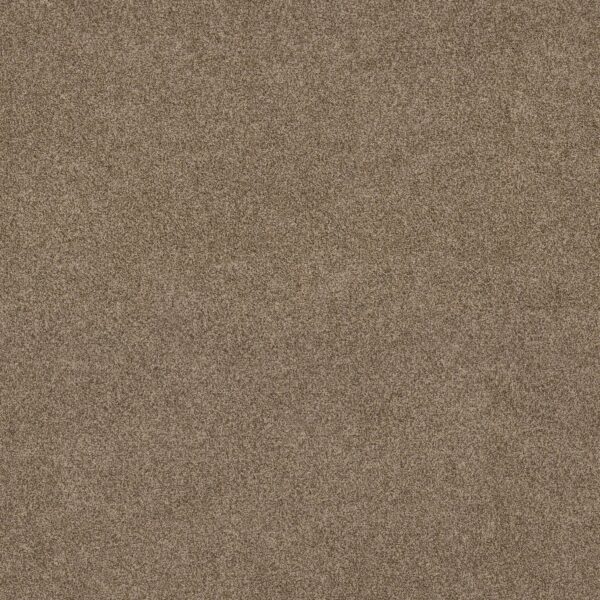 Anderson Tuftex Carpet Via Nova Ranch 00765_ZZ276