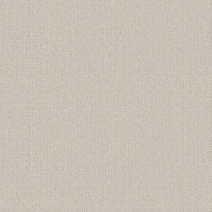 Anderson Tuftex Carpet Arden Park Froth 00111_ZZ286