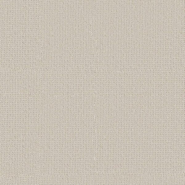 Anderson Tuftex Carpet Arden Park Froth 00111_ZZ286