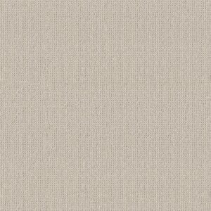 Anderson Tuftex Carpet Arden Park Seaside 00112_ZZ286