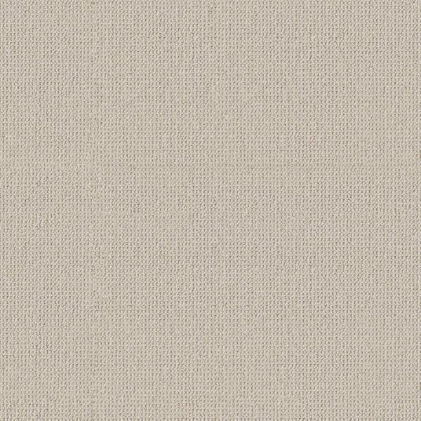 Anderson Tuftex Carpet Arden Park Seaside 00112_ZZ286
