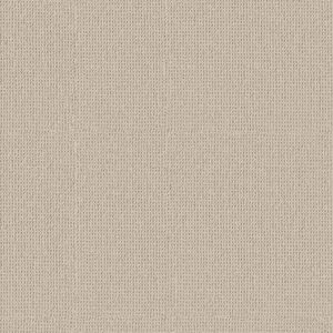 Anderson Tuftex Carpet Arden Park Drift 00114_ZZ286