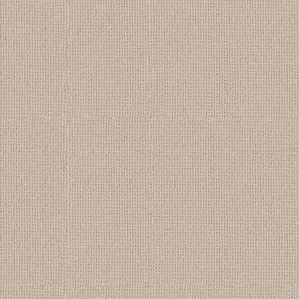 Anderson Tuftex Carpet Arden Park Drift 00114_ZZ286