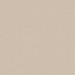 Anderson Tuftex Carpet Arden Park Scroll 00122_ZZ286