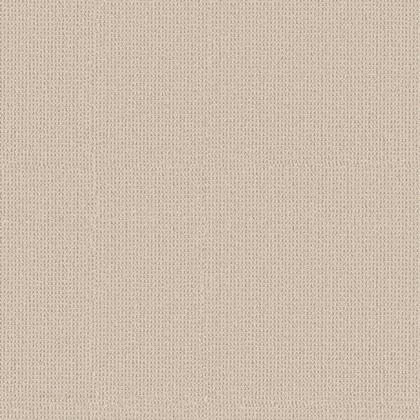 Anderson Tuftex Carpet Arden Park Scroll 00122_ZZ286