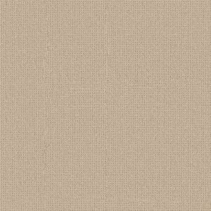 Anderson Tuftex Carpet Arden Park Parchment 00123_ZZ286